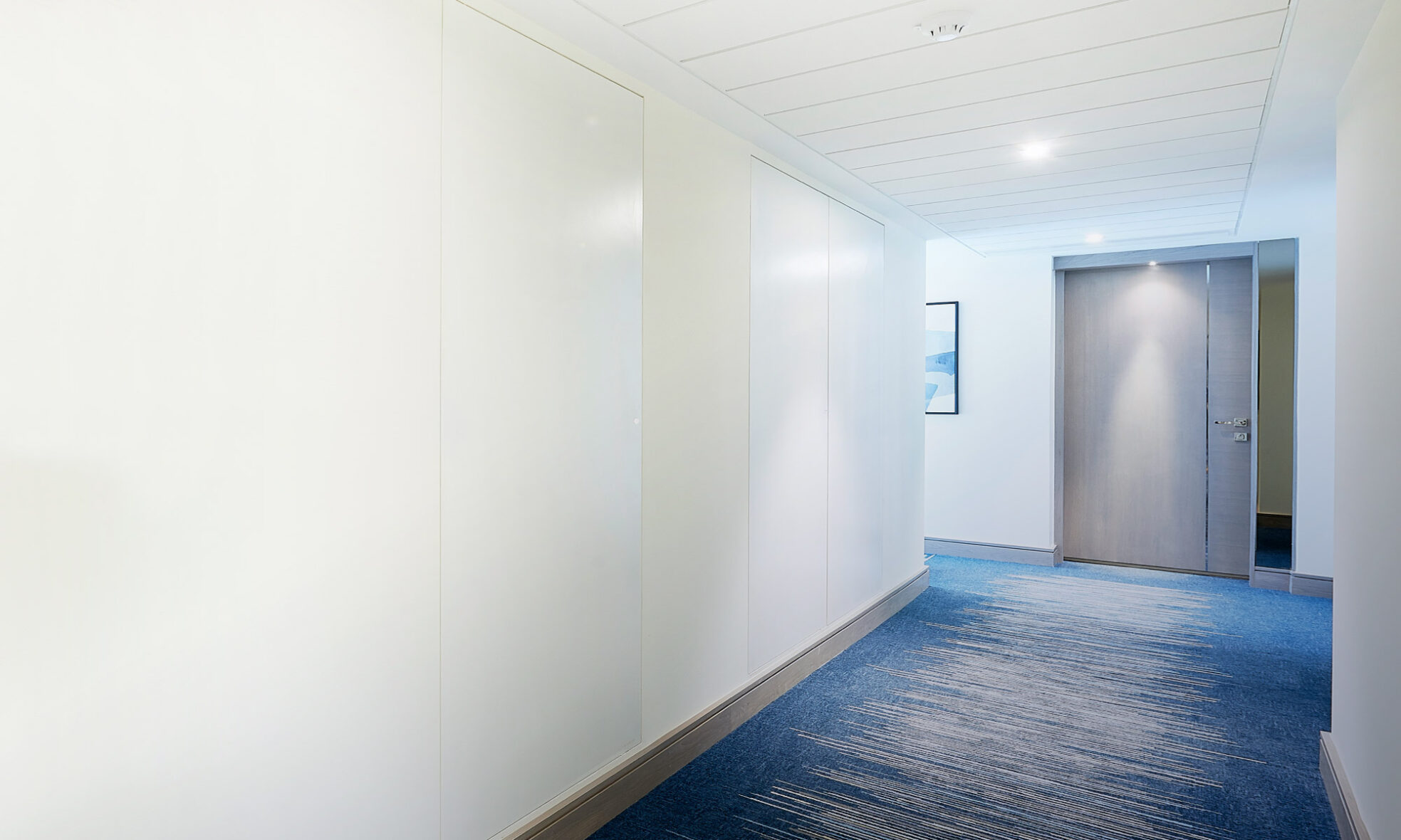 Rida™ Cost Effective Metal Riser Doors Selo